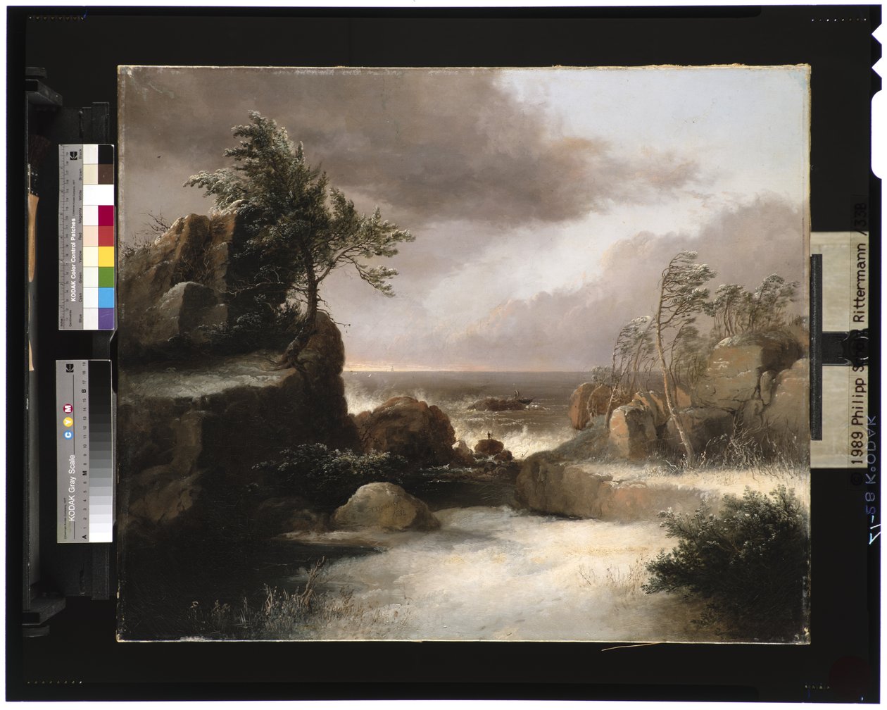 Forlis, 1834 af Thomas Doughty