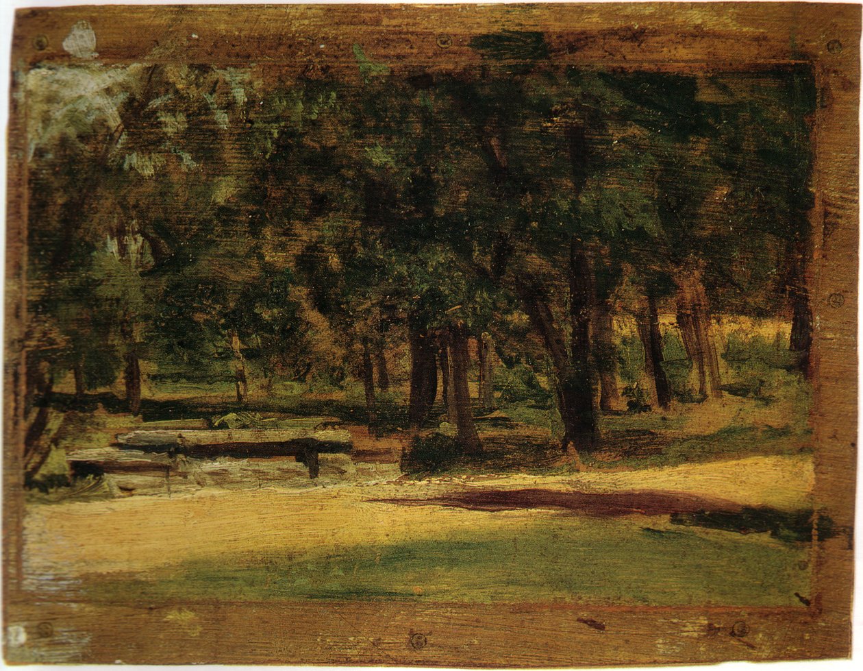 Ukendt billede af Thomas Eakins
