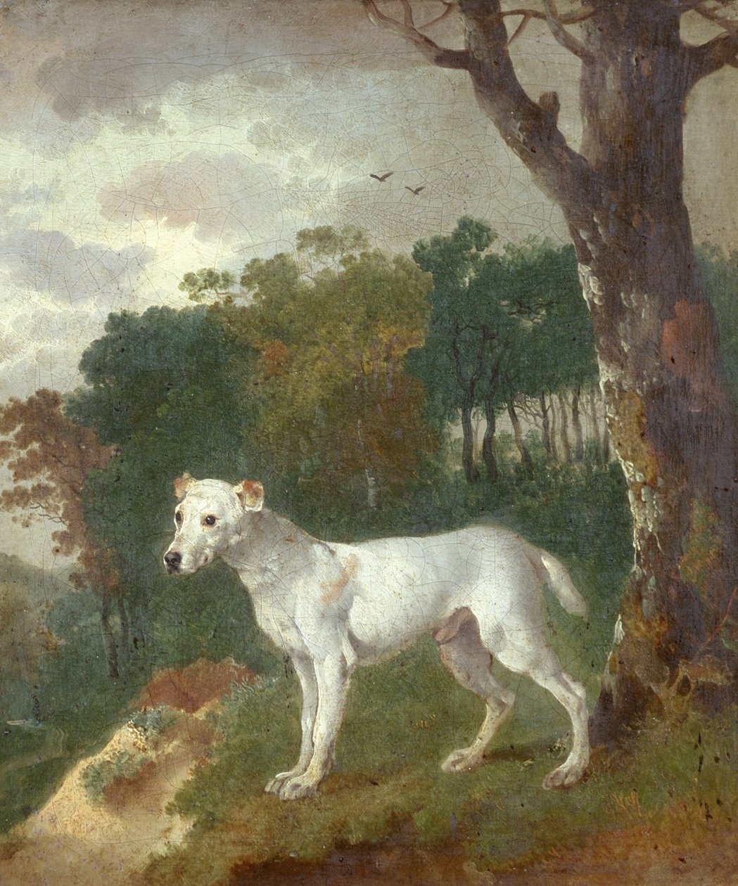Bumper, en bullterrier, 1745 af Thomas Gainsborough