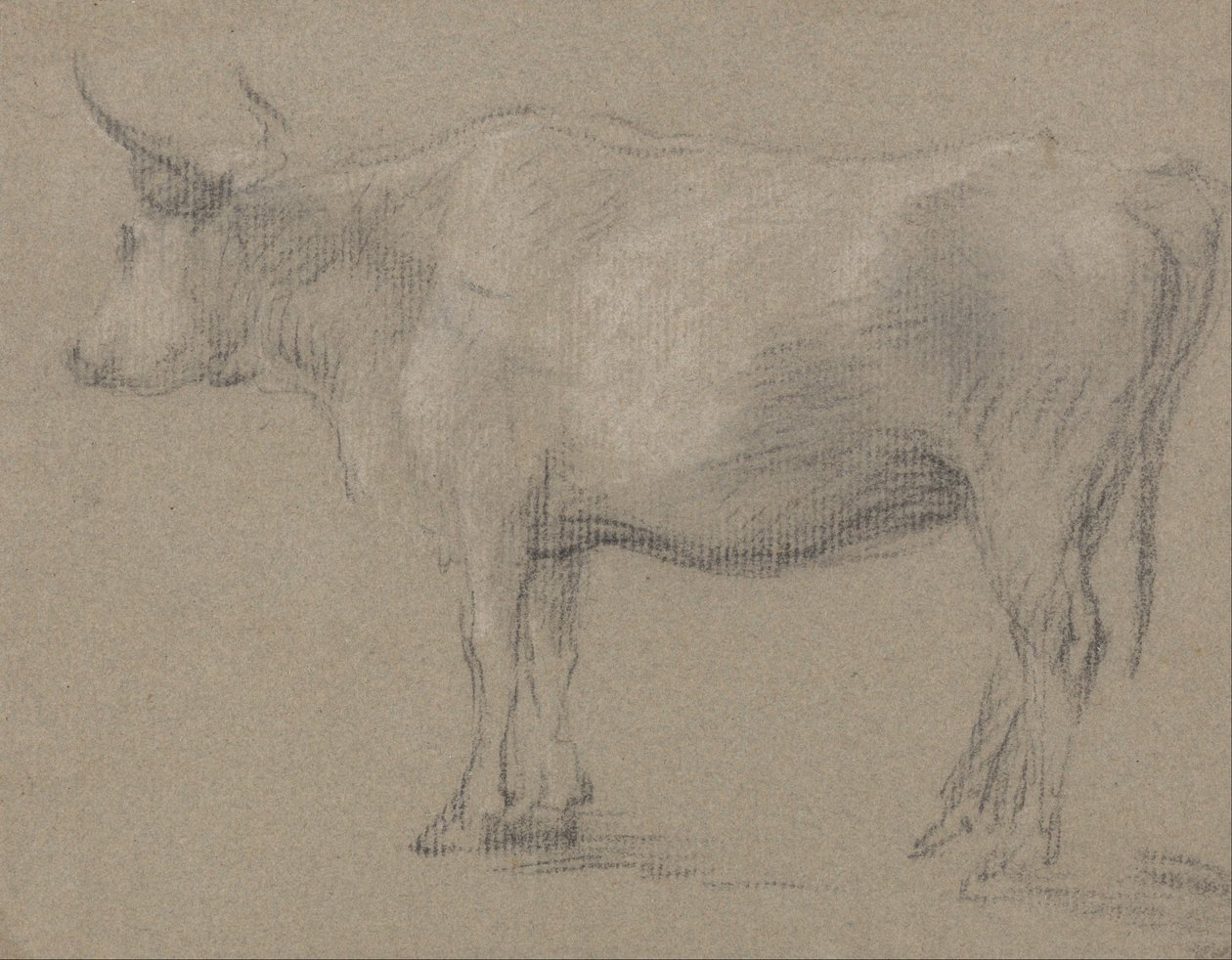 Studie af en ko af Thomas Gainsborough