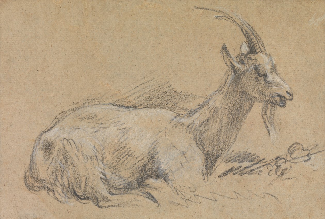 Studium af en ged af Thomas Gainsborough