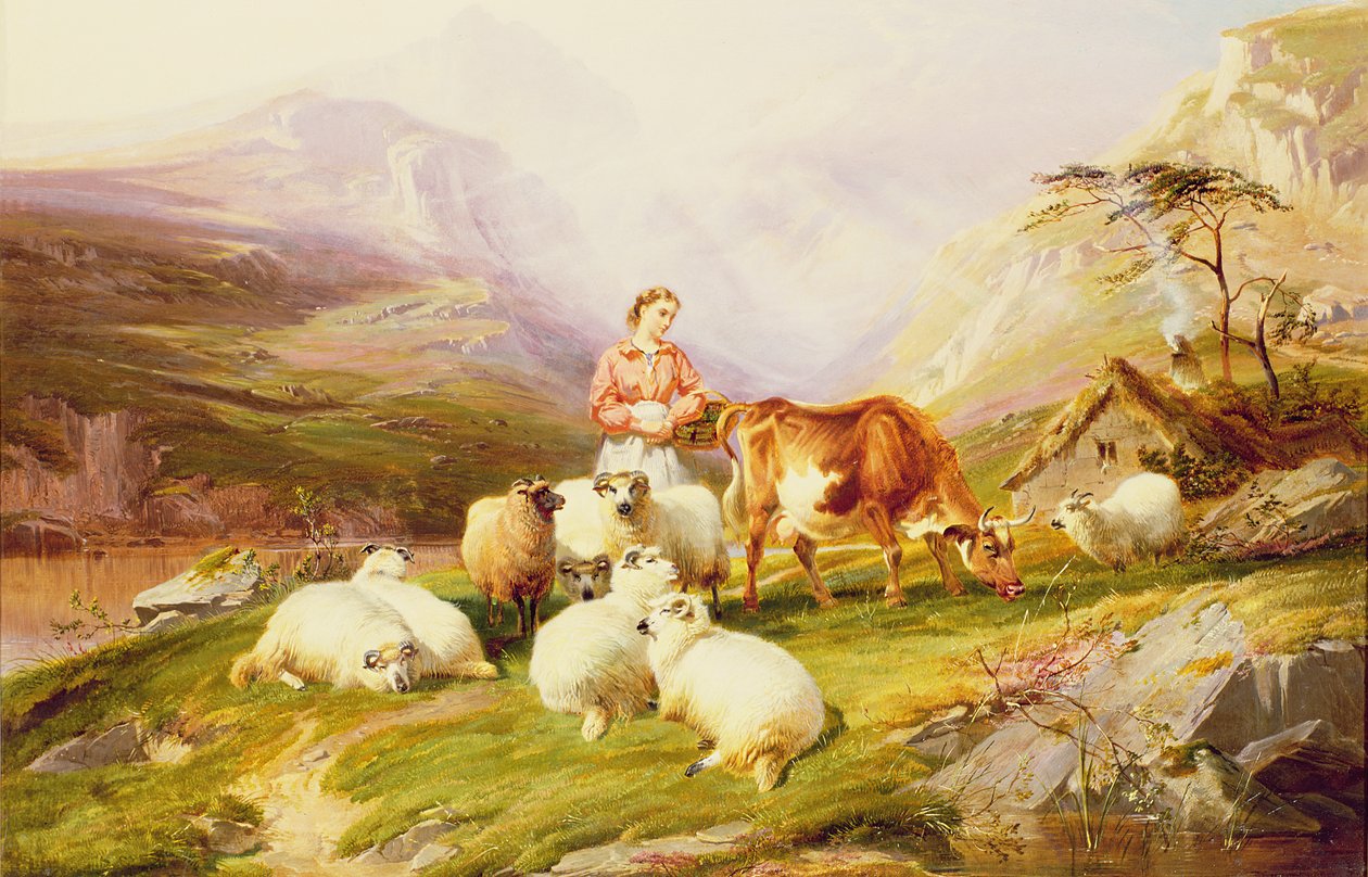 Ko og får på en bjerggræsgang af Thomas George Cooper