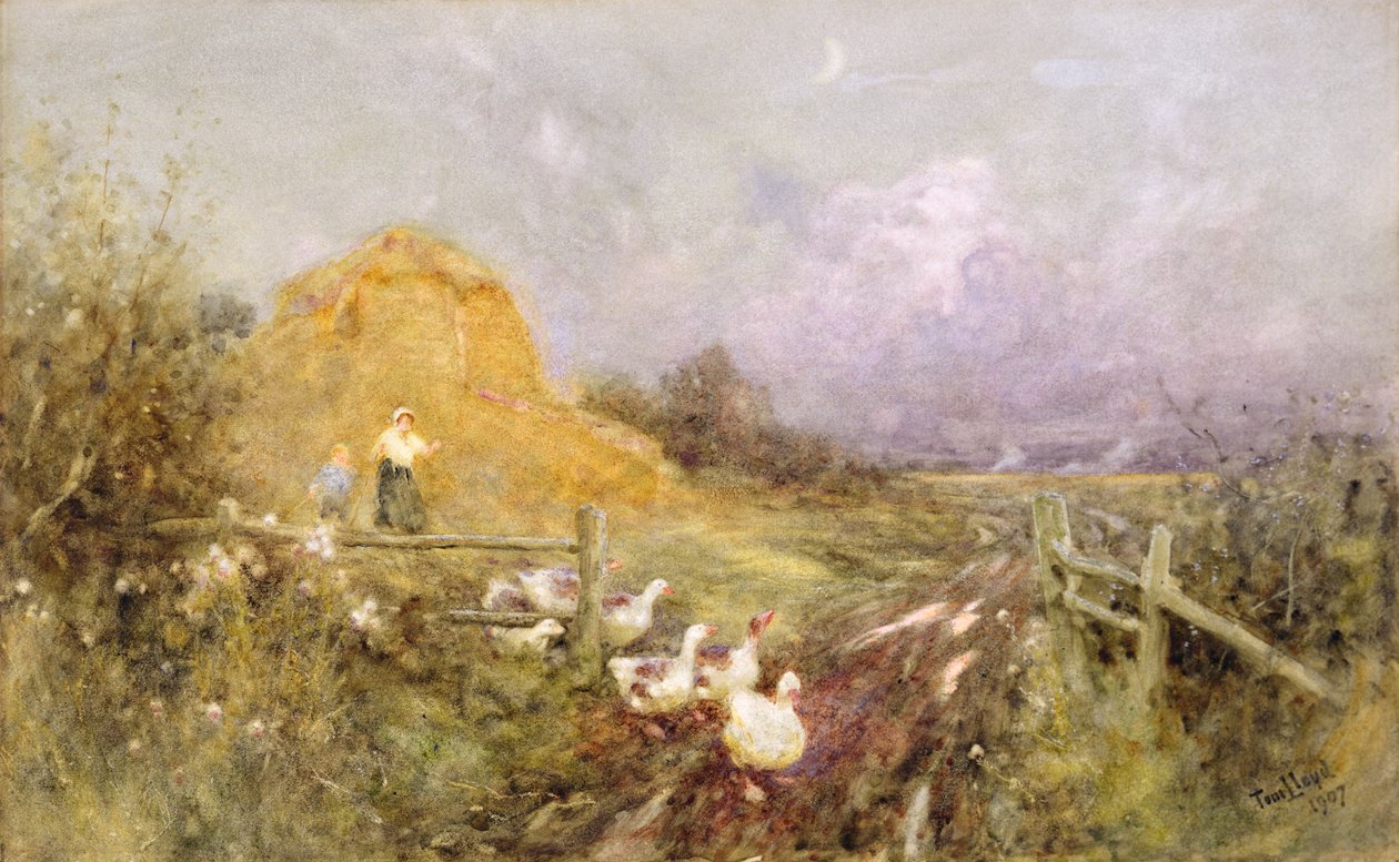 At drive gæs, tidlig aften, 1907 af Thomas James Lloyd