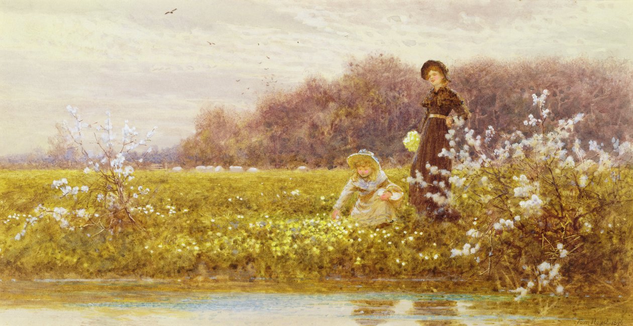 Plukke Primroser, 1896 af Thomas James Lloyd