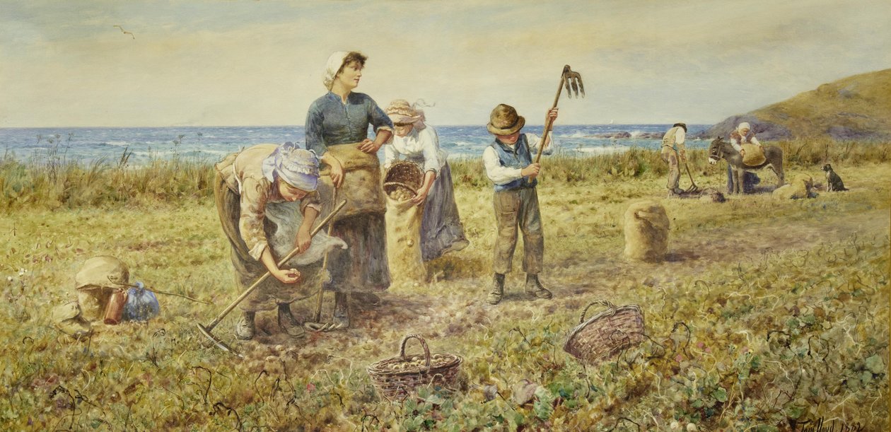 Kartoffelhøsten af Thomas James Lloyd