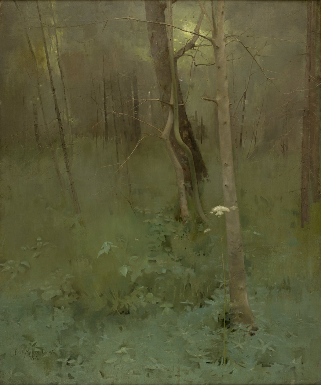 Træer, 1886 af Thomas Millie Dow
