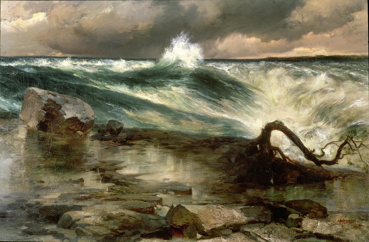 Rapids over Niagara af Thomas Moran
