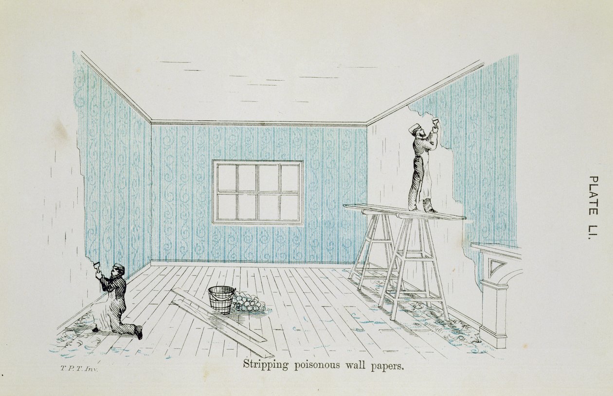 Fjernelse af giftige tapeter, illustration fra Dangers to Health: A Pictorial Guide to Domestic Sanitary Effects, udgivet 1897 af Thomas Pridgin Teale