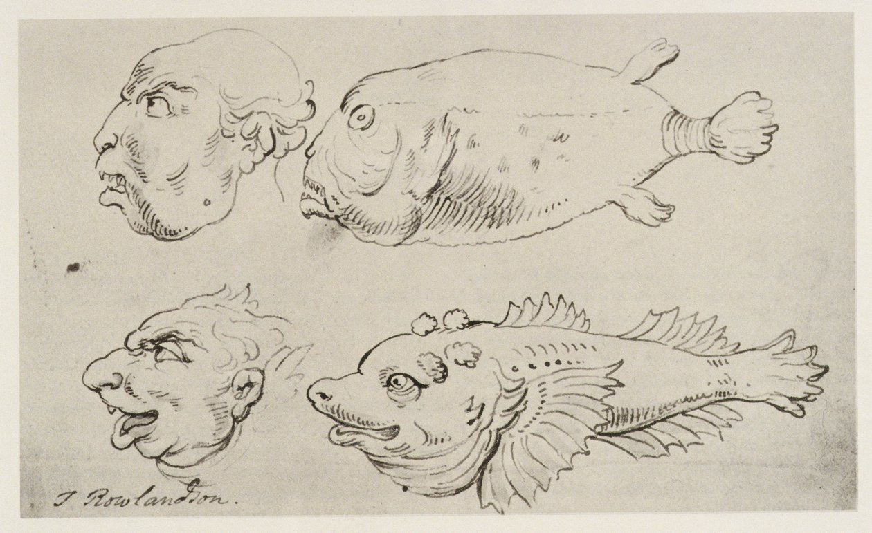 Antropomorfe hoveder af mænd og fisk af Thomas Rowlandson