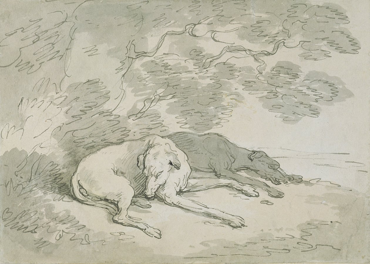 Greyhounds Sovende, (pen og blæk og wc på papir) af Thomas Rowlandson