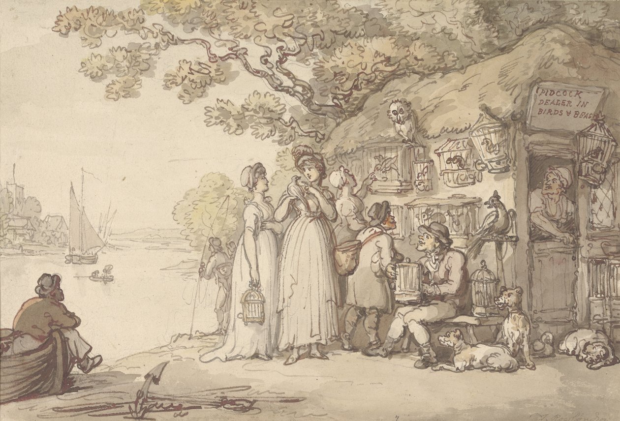 Pidcock, forhandler af fugle og udyr (pen & blæk og wc på papir) af Thomas Rowlandson