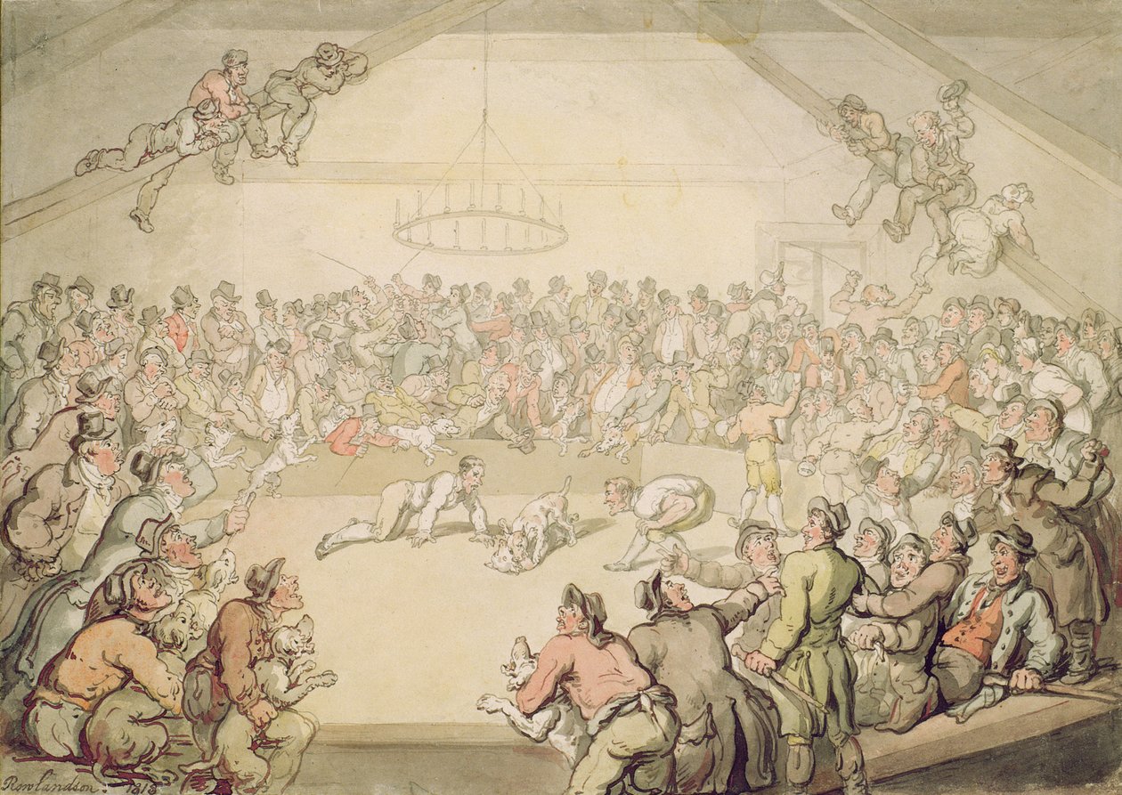 Hundekampen af Thomas Rowlandson
