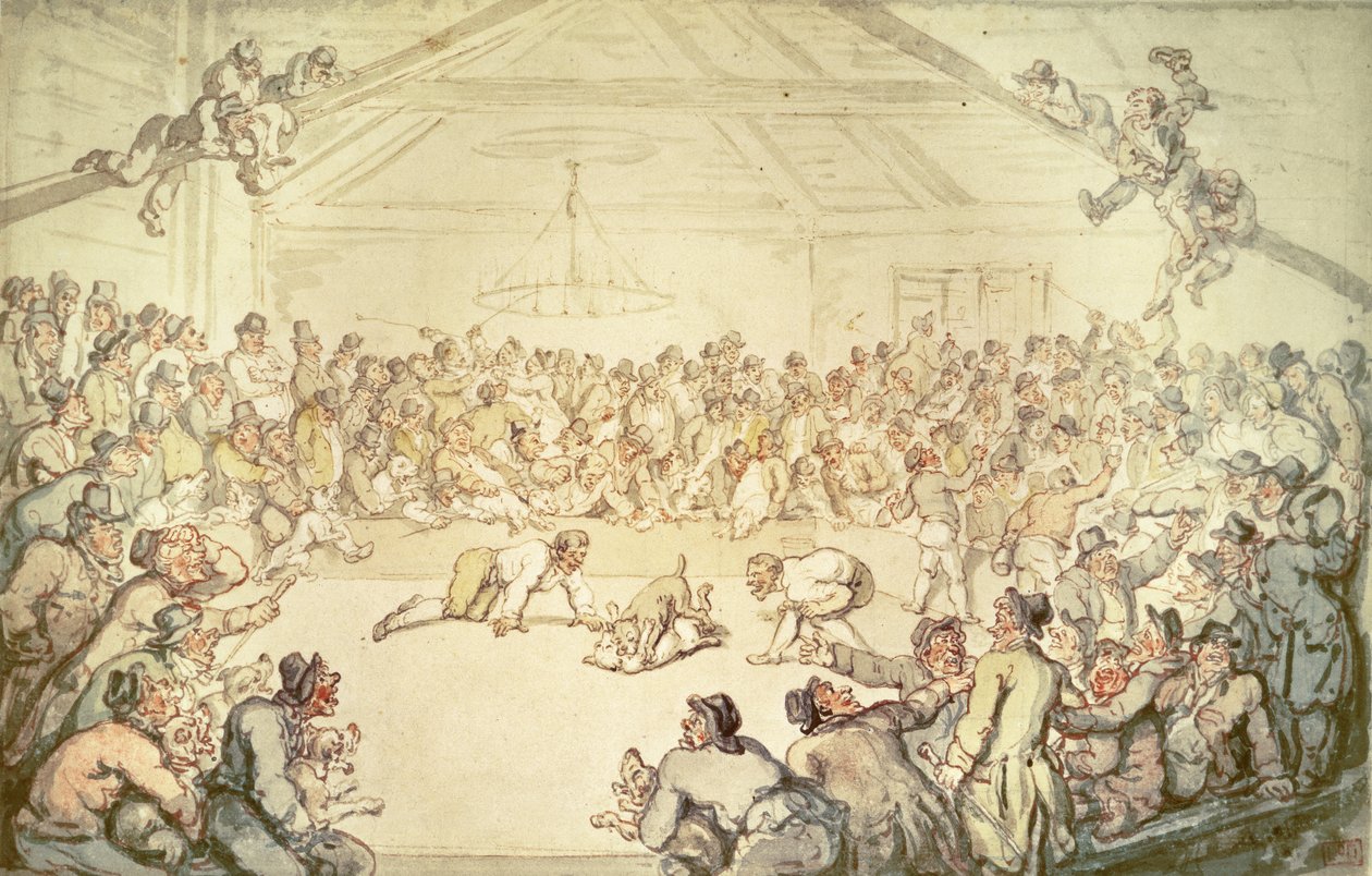 Hundekampen af Thomas Rowlandson