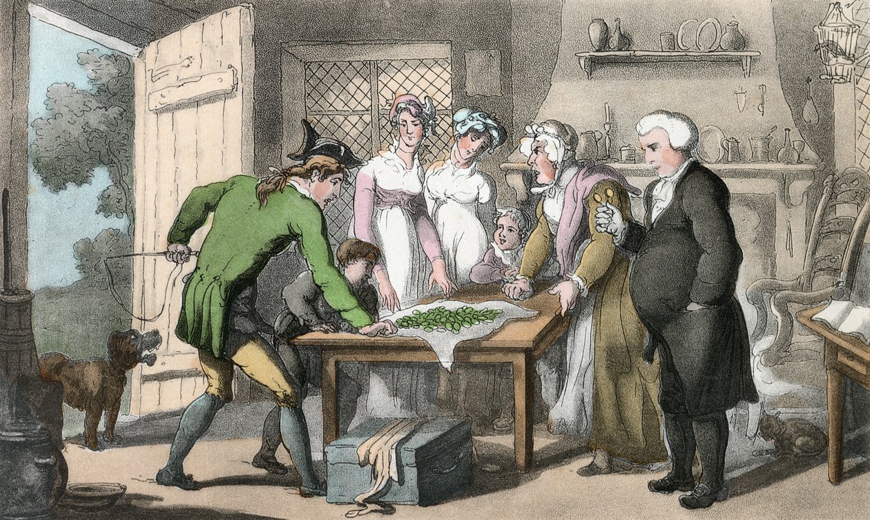 The Gross of Green Spectacles, illustration fra 