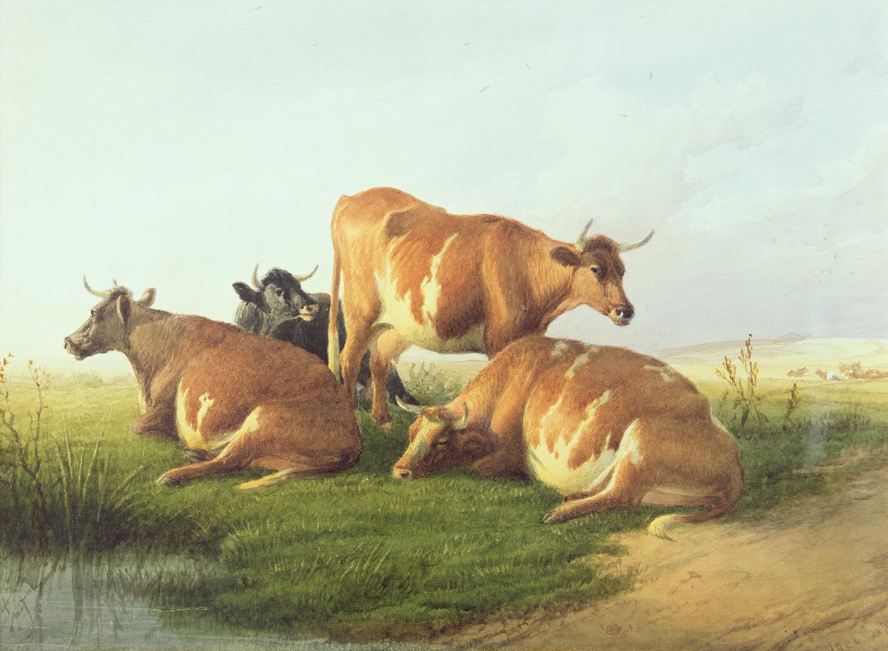 Kvæg i et landskab (wc på papir) af Thomas Sidney Cooper