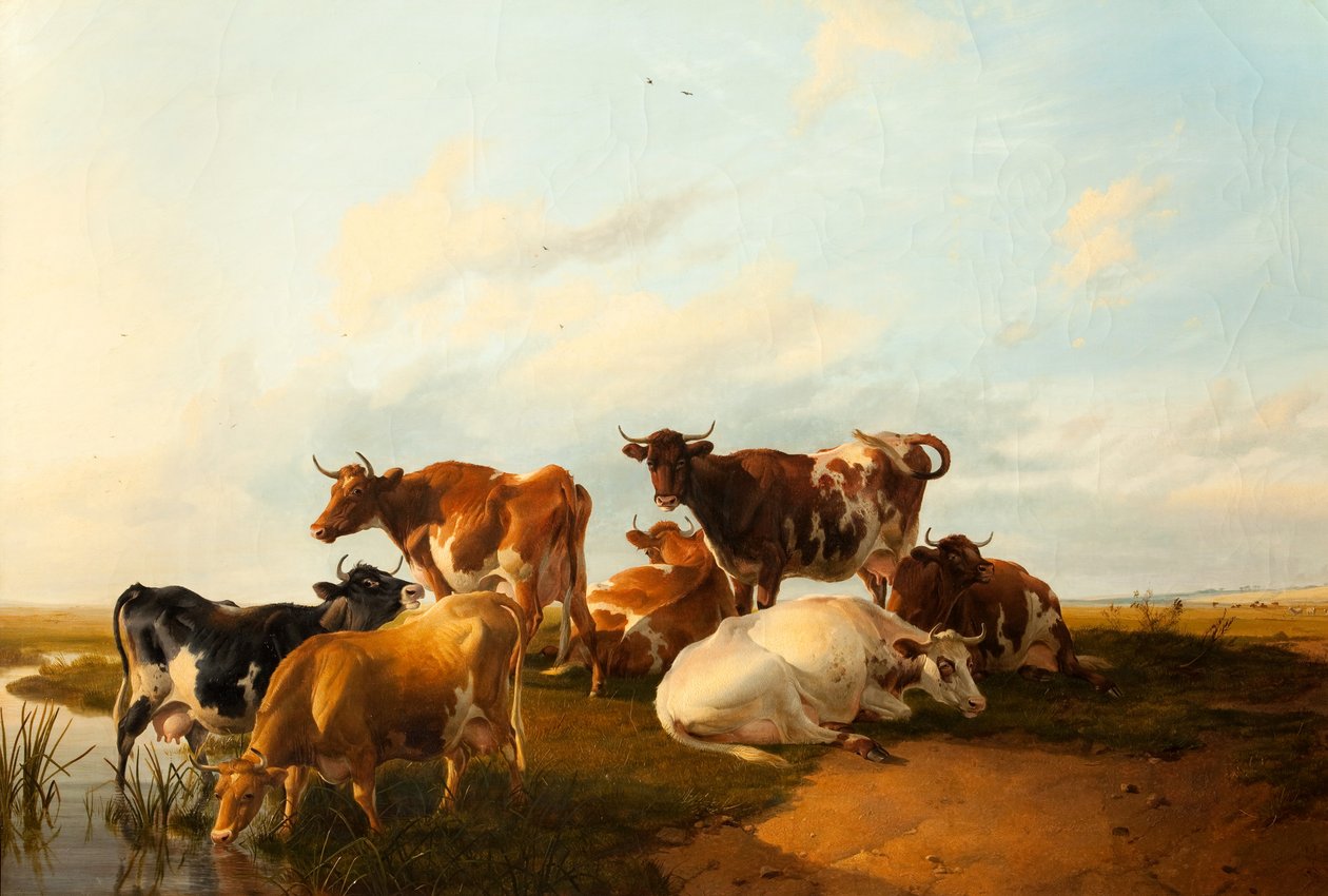 Aften på engene, 1871 af Thomas Sidney Cooper