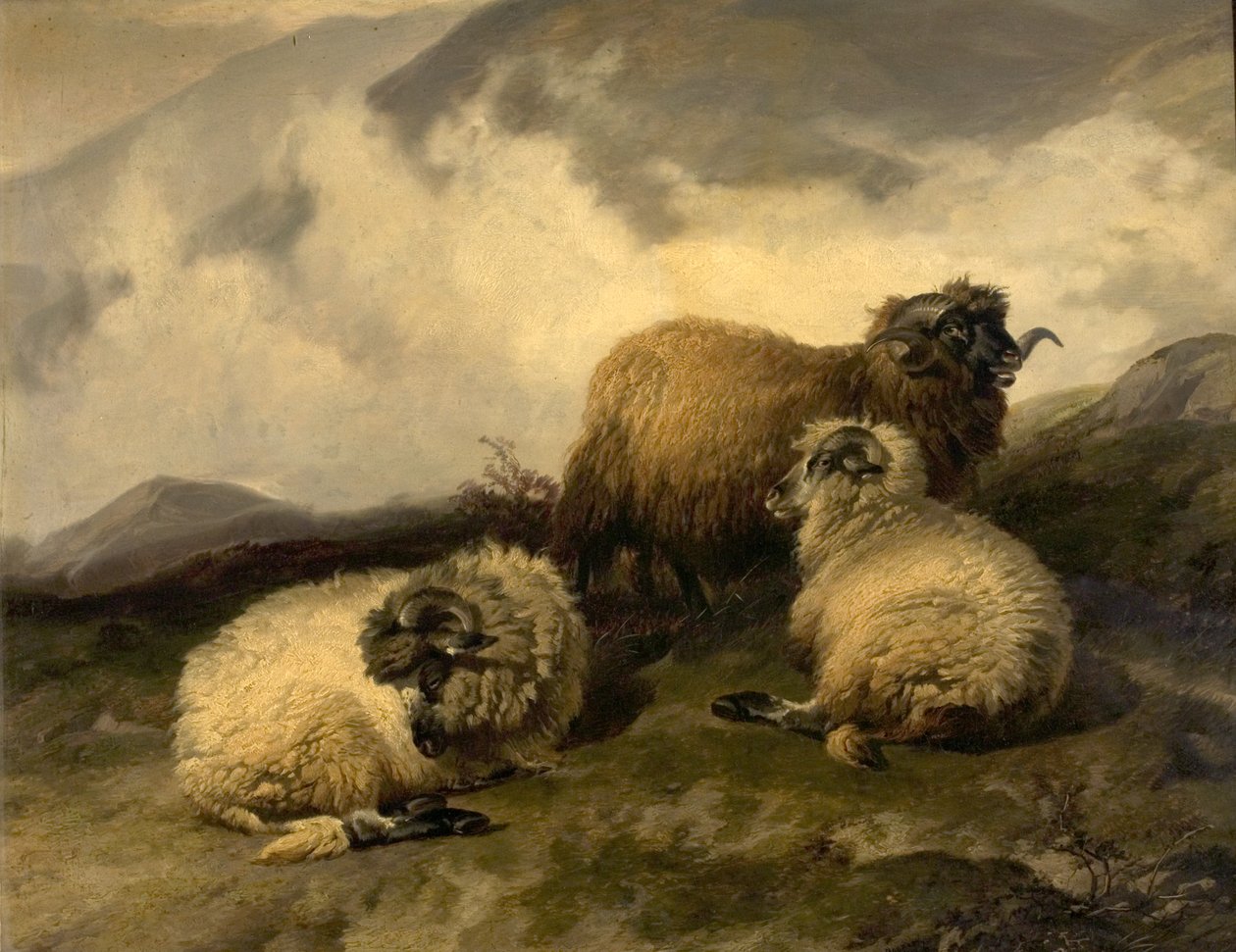 Bjergfår (morgentåge rydder op) 1846 af Thomas Sidney Cooper