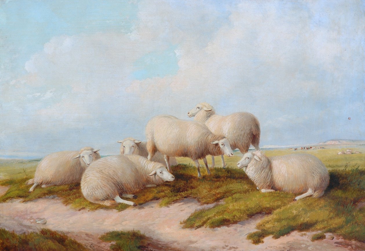 Får af Thomas Sidney Cooper