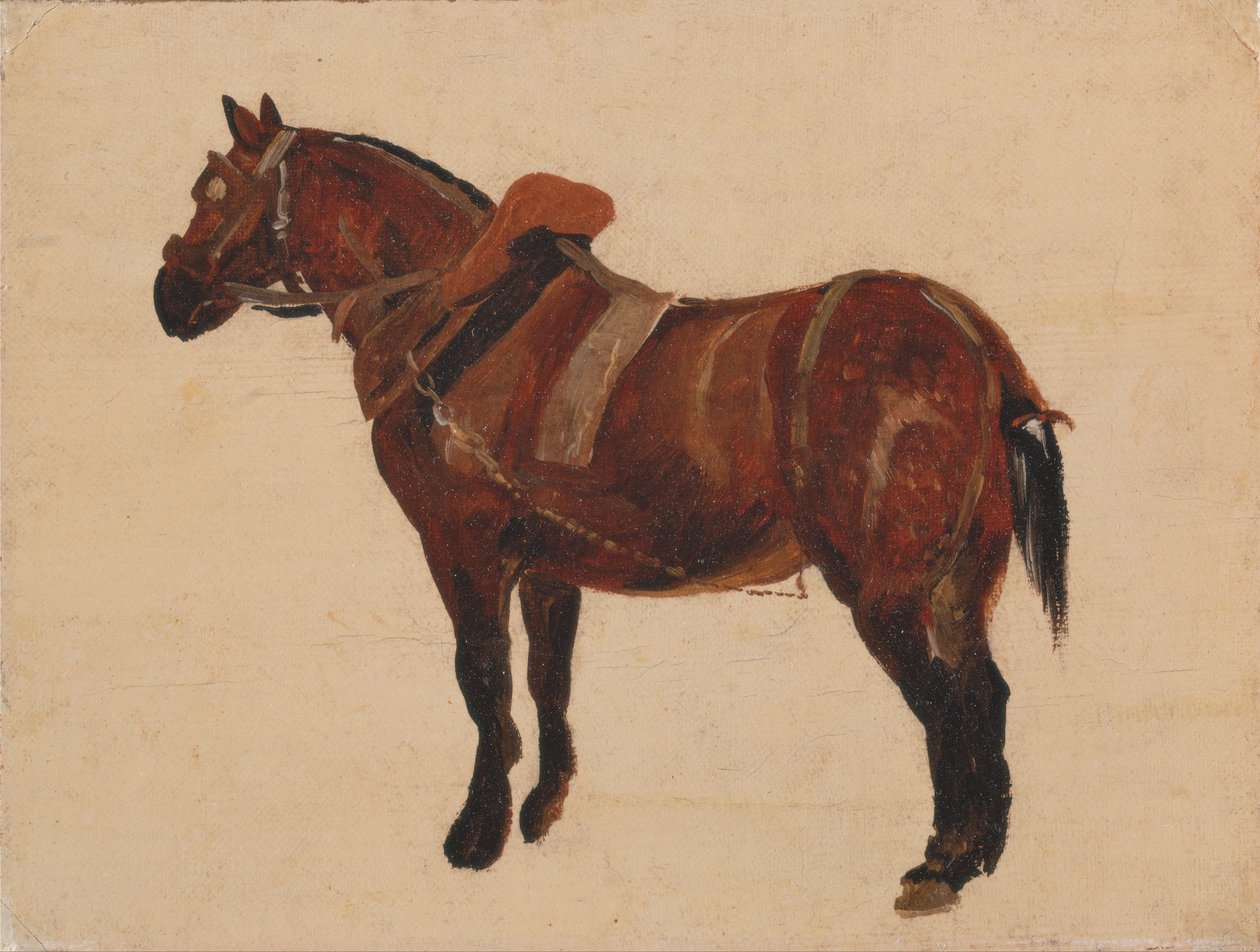 Studie af en arbejdshest af Thomas Sidney Cooper