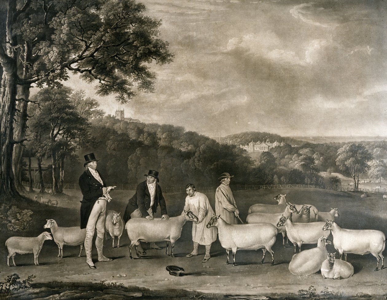 Portræt af Thomas William Coke, Esq. (1752-1842) inspicerede nogle af sine South Down-får med Mr. Walton og Holkham-hyrderne, indgraveret af William Ward (1766-1826), 1808 af Thomas Weaver