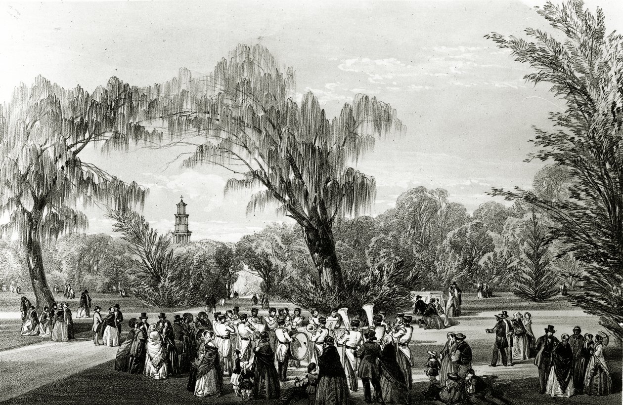 Botanisk Have, Cape Town, tryk udført af W. Simpson, ca. 1850