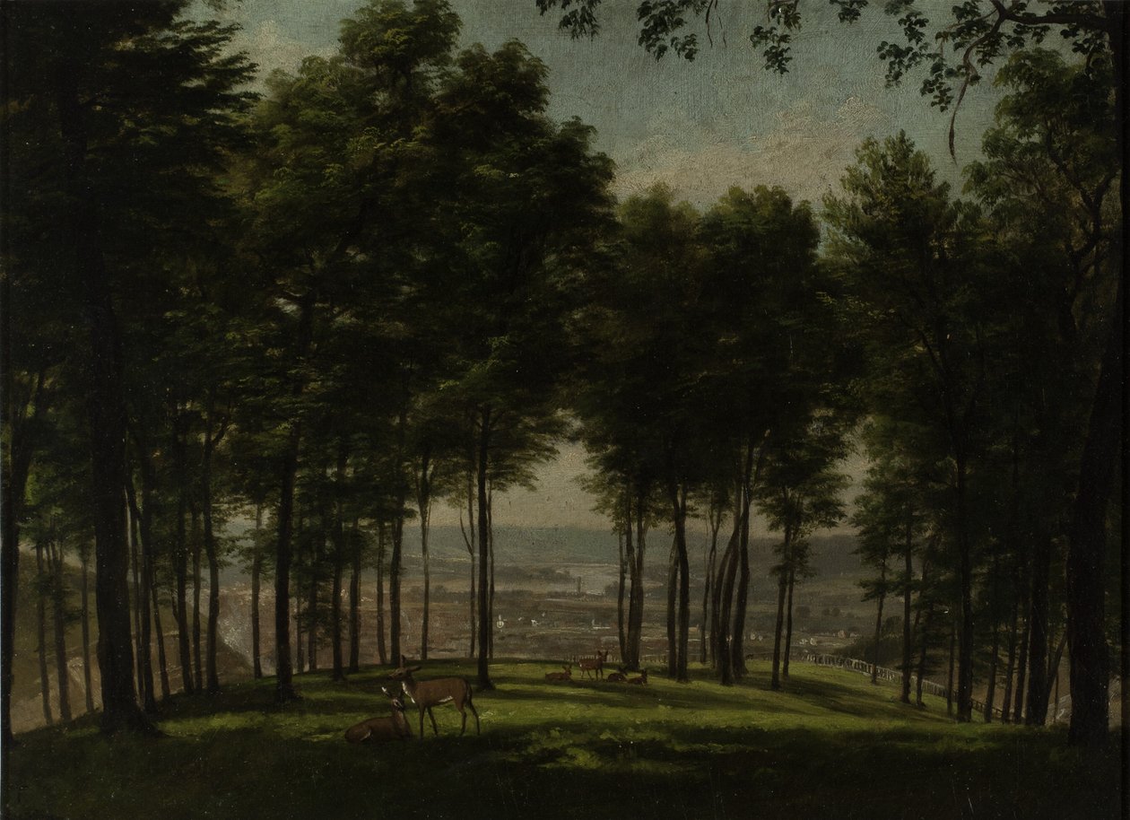 Mount Storm Park, Cincinnati, 1840 (olie på akademikarton) af Thomas Worthington Whittredge