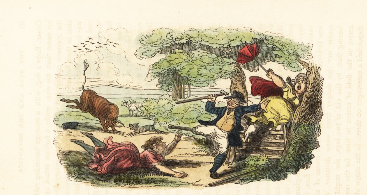 En familie af botanikere angrebet af en opladende tyr på en mark. ,1831 (gravering) af Thomas (after) Rowlandson