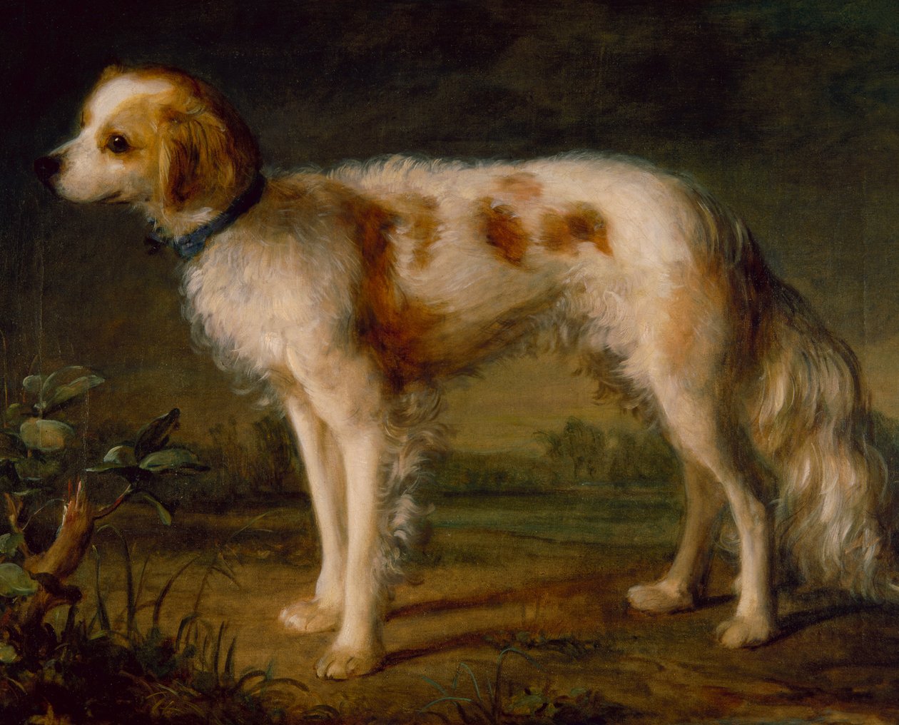 En spaniel i et landskab (olie) af Thomas (circle of) Gainsborough