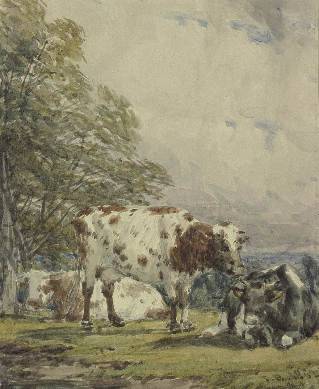 En undersøgelse af kvæg, 1800-tallet af Thomas Baker
