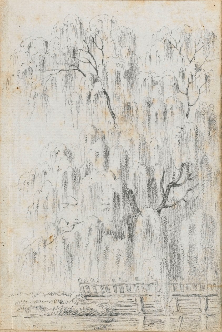 Studie af et træ, der hænger ud over vandet ved Merton (recto) af Thomas Baxter