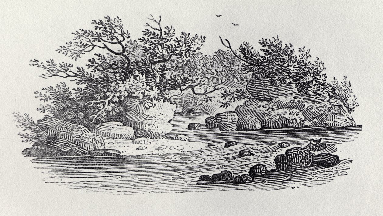 A Bend in the River fra 