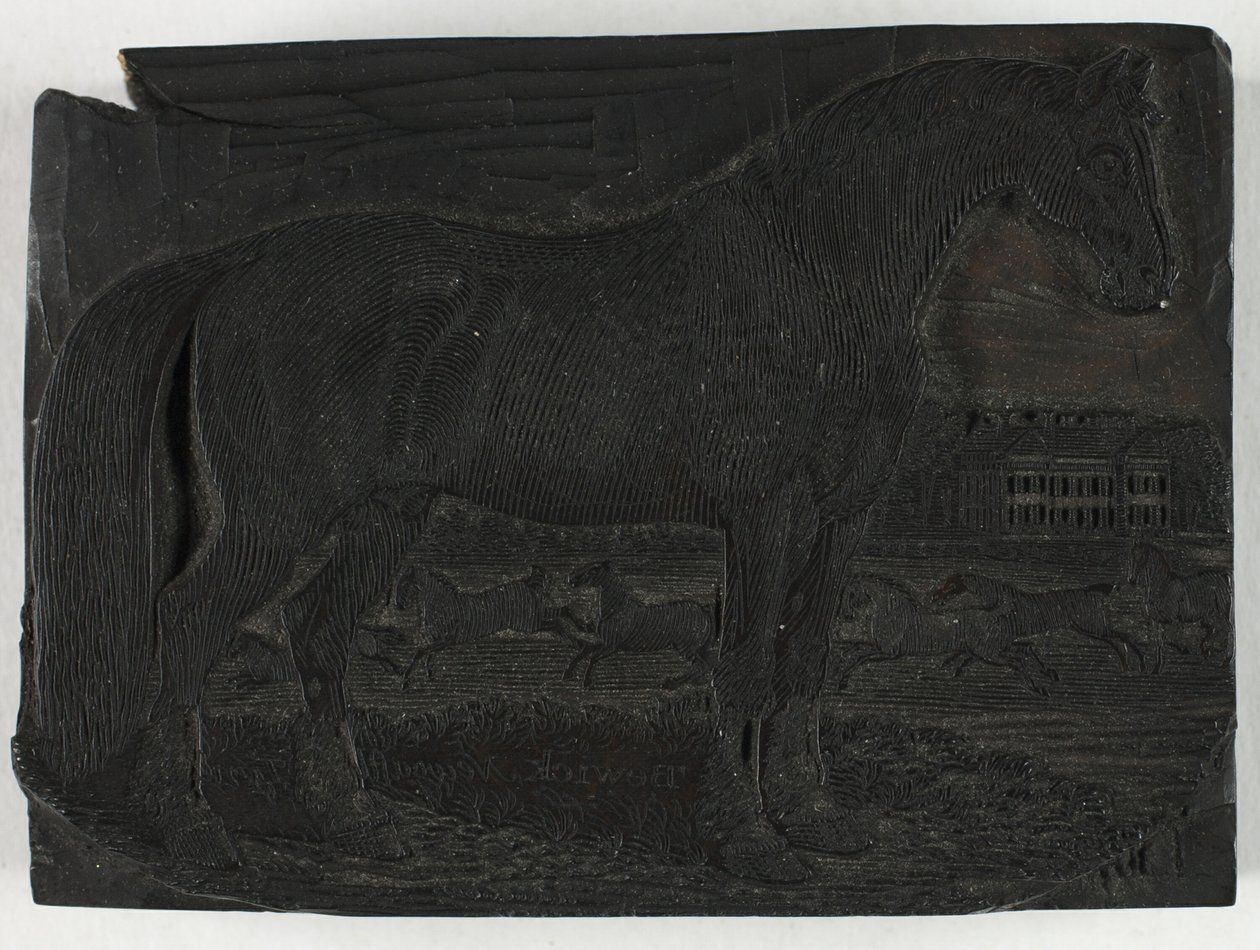 Træblok til Den sorte hest, fra a General History of Quadrupeds af Thomas Bewick