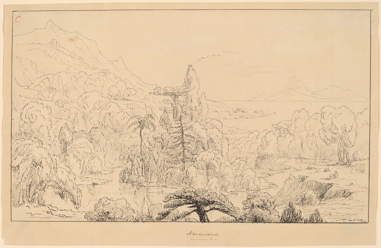 Narcissus [lige] af Thomas Cole