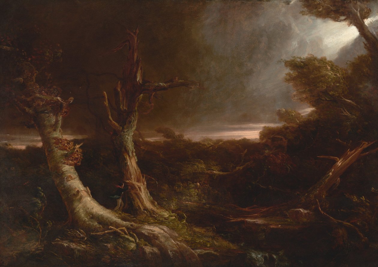 Tornado i en amerikansk skov af Thomas Cole