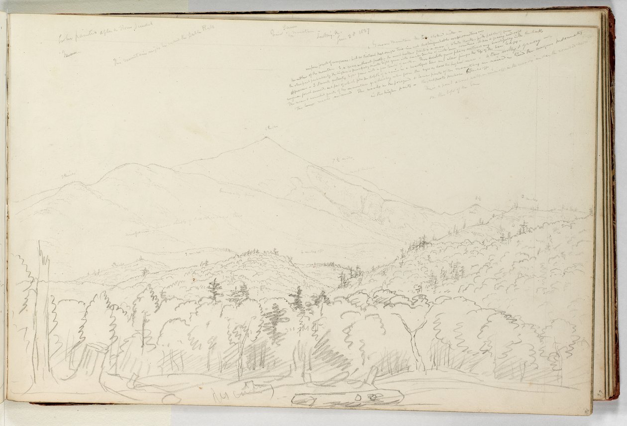 Udsigt over Schroon Mountain Looking North 28. juni af Thomas Cole