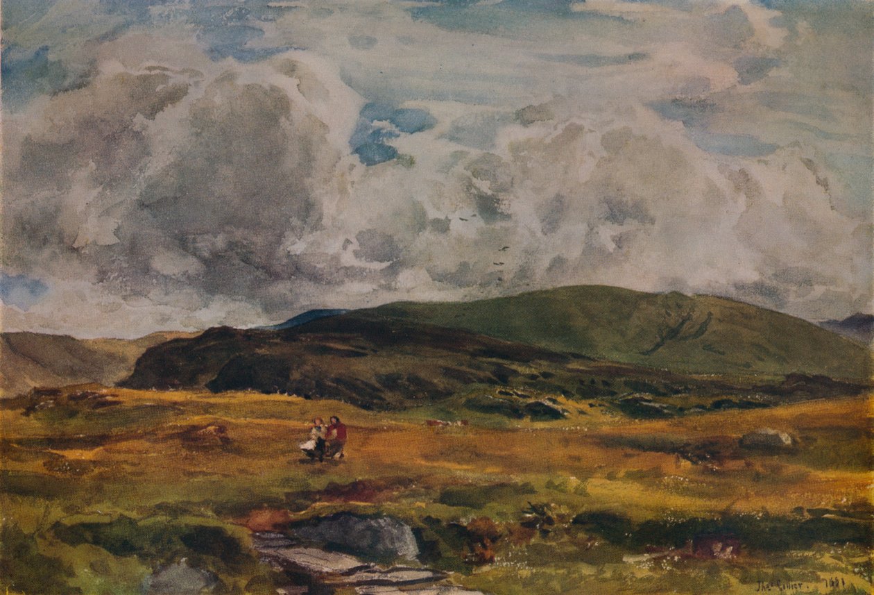 En sti over markerne, 1881 af Thomas Collier