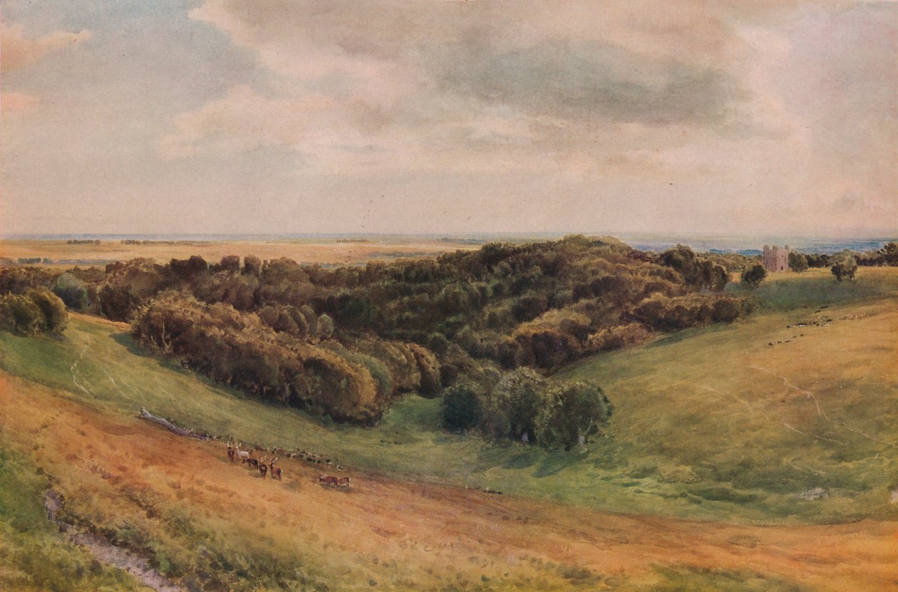 Arundel Park, 1874 af Thomas Collier