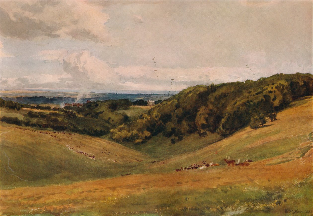 Arundel Park, med hjorte, 1880 af Thomas Collier