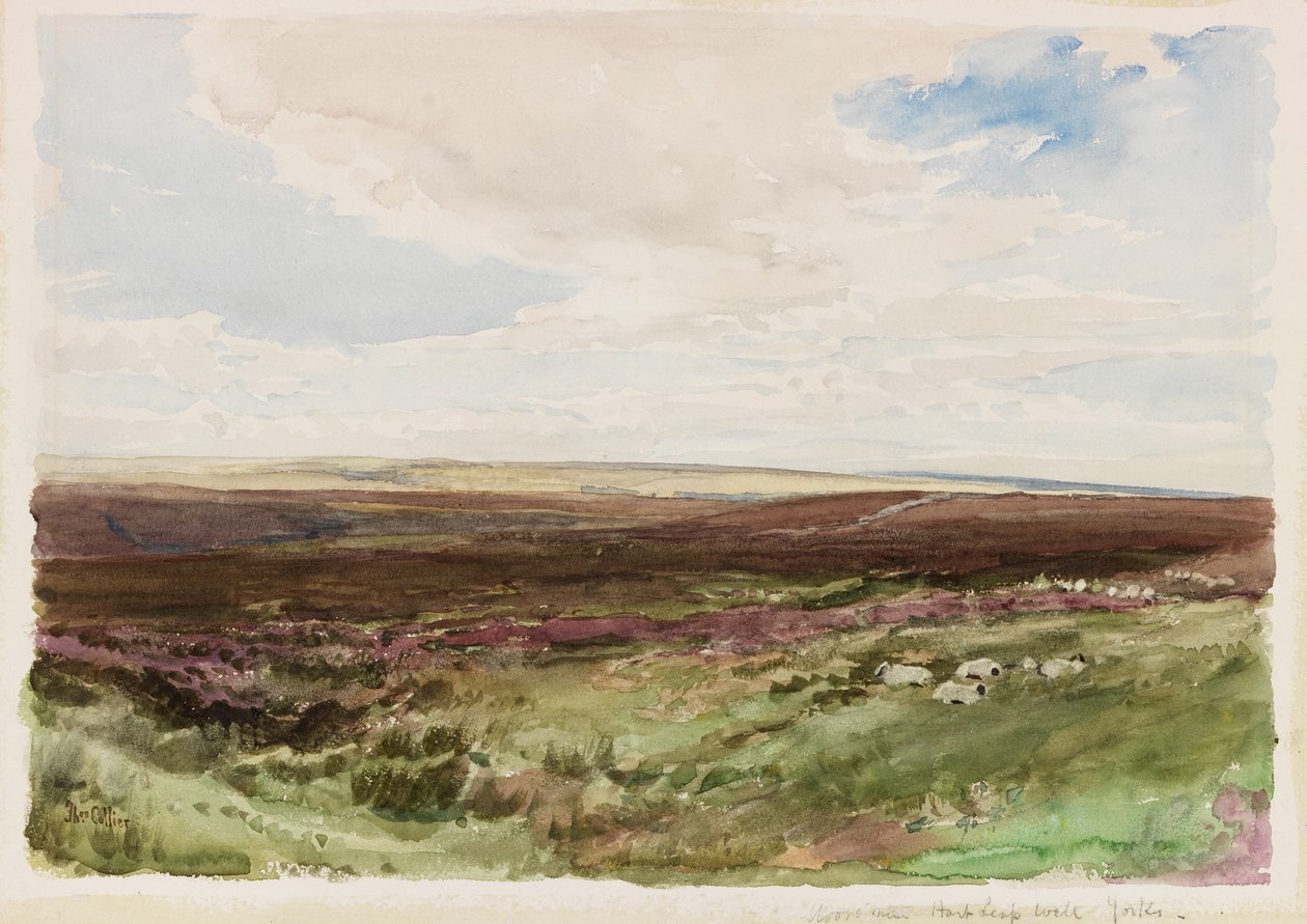 Moorland nær Hart Leap Well, Yorkshire (akvarel på papir) af Thomas Collier