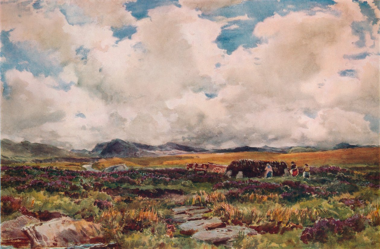 Stabling af tørv, Festiniog, North Wales, 1881 af Thomas Collier