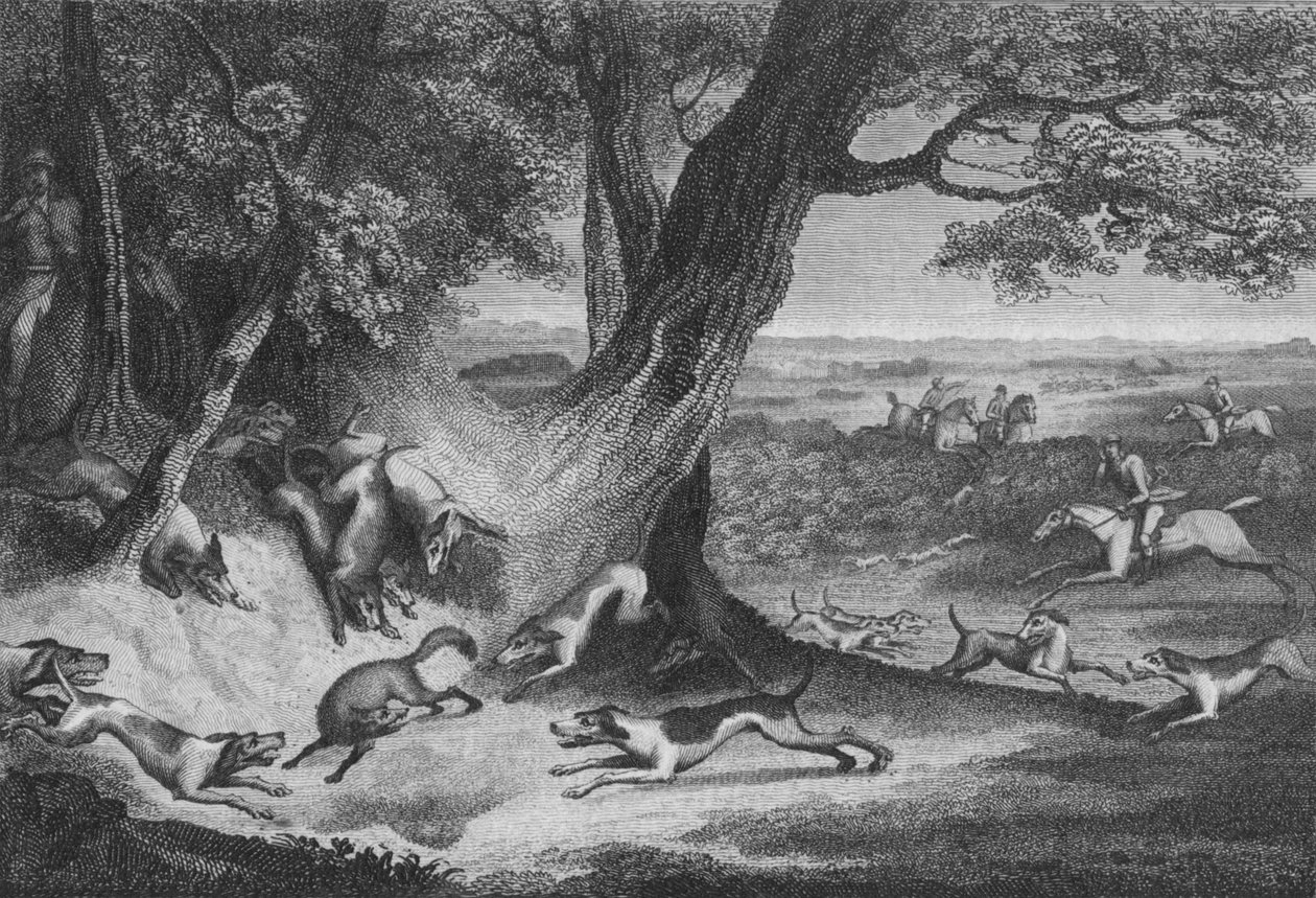 Rævens død, 1793. af Thomas Cook