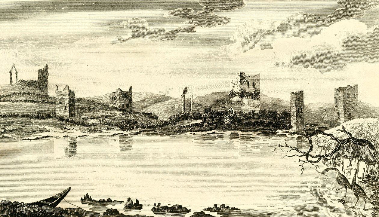 N. Udsigt over ruinerne af Clomines, Co. Wexford, 1791. af Thomas Cook