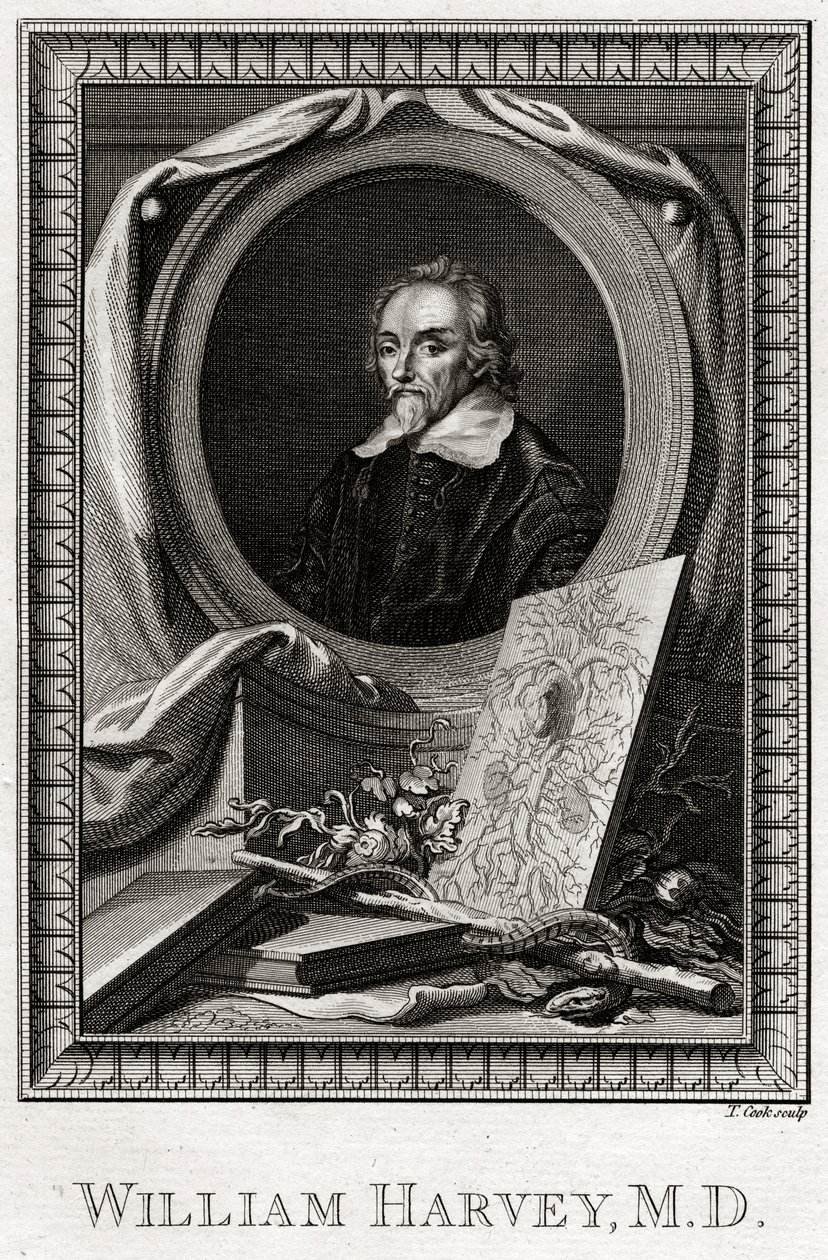 William Harvey, 1777 af Thomas Cook