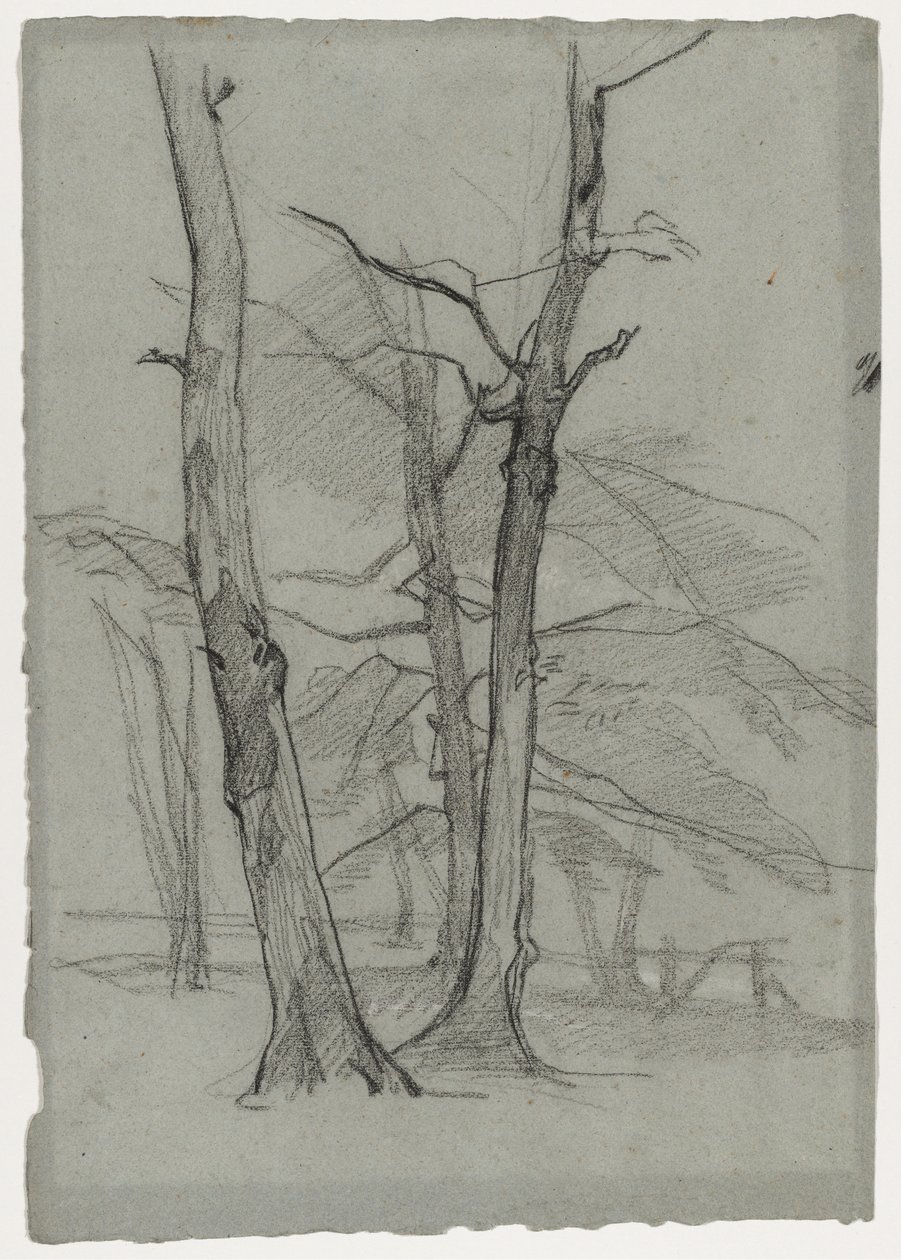 Landskabsstudie med træer, ca. 1870-1875. af Thomas Couture
