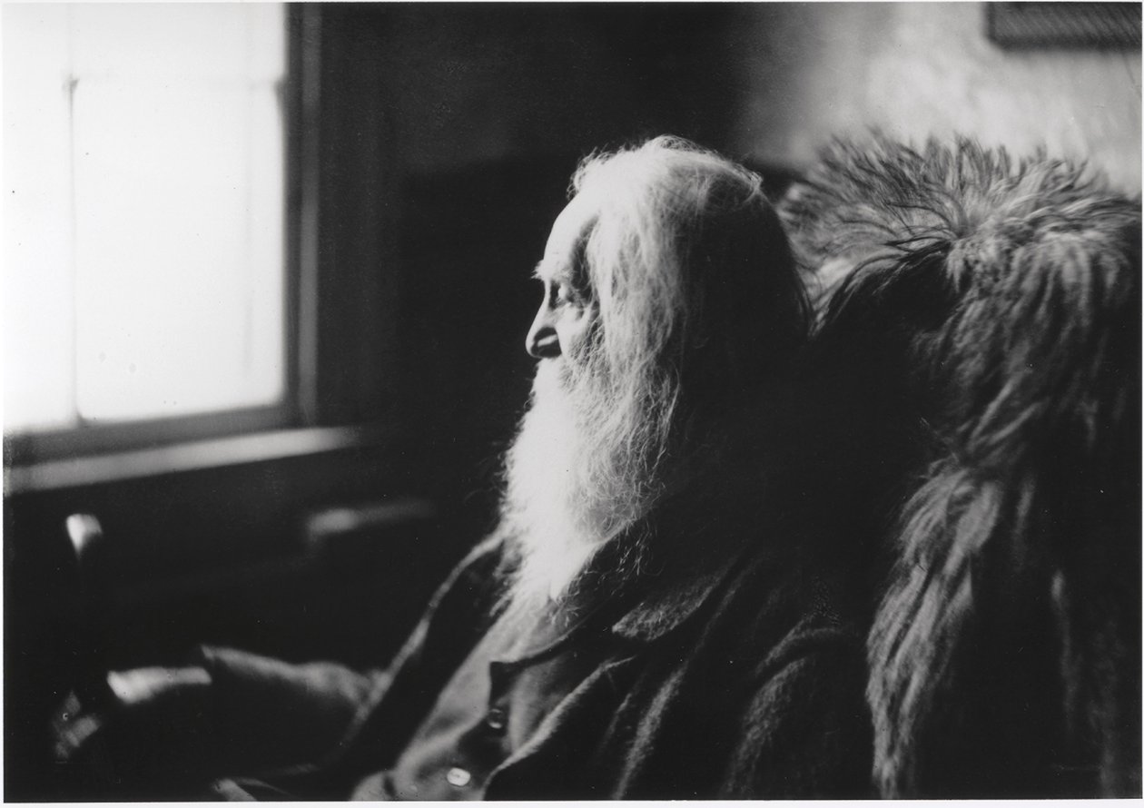Walt Whitman i Camden, N.J., ca. 1891 (sølvtryk på papir) af Thomas Cowperthwait Eakins