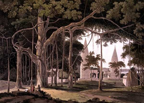 Hindoo-templer ved Agouree, ved floden Soane, Bahar, fra 