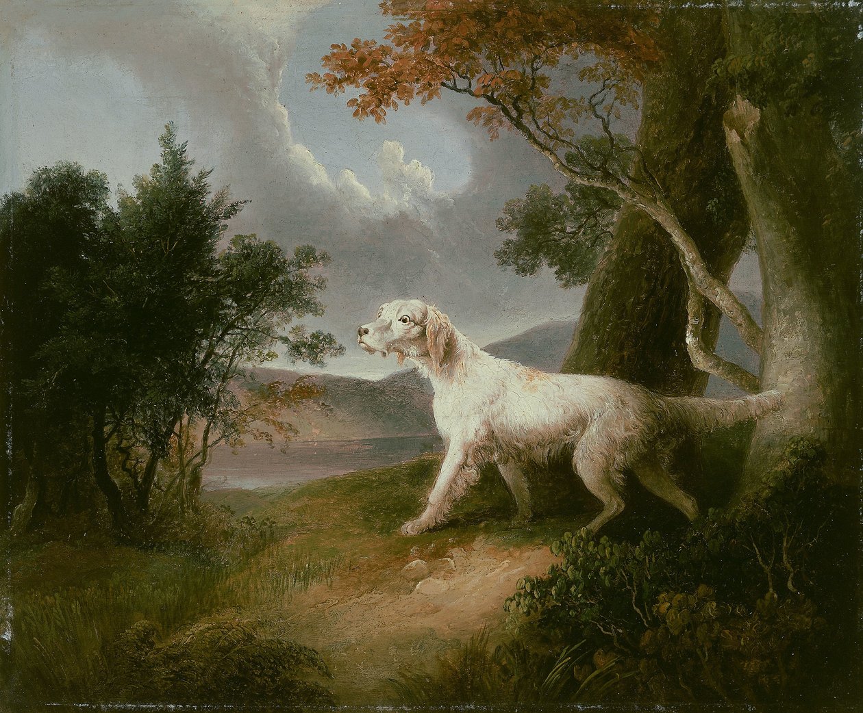 Landskab med hund af Thomas Doughty
