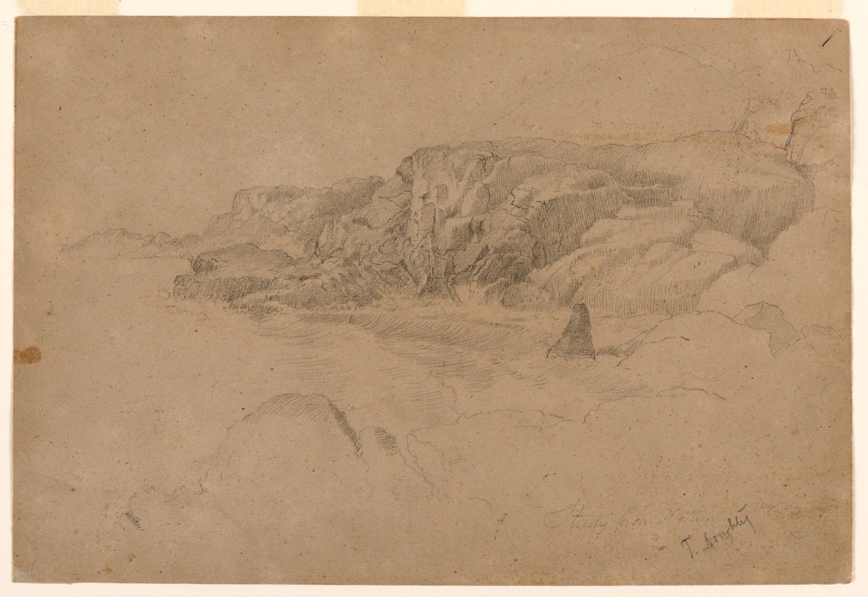 Studie fra naturen af Thomas Doughty