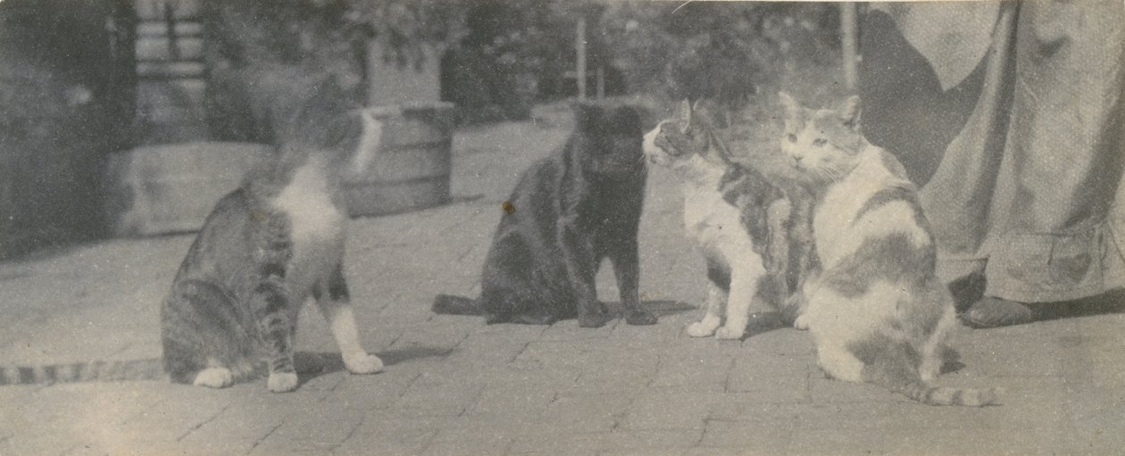 Fire katte, ca. 1895. af Thomas Eakins