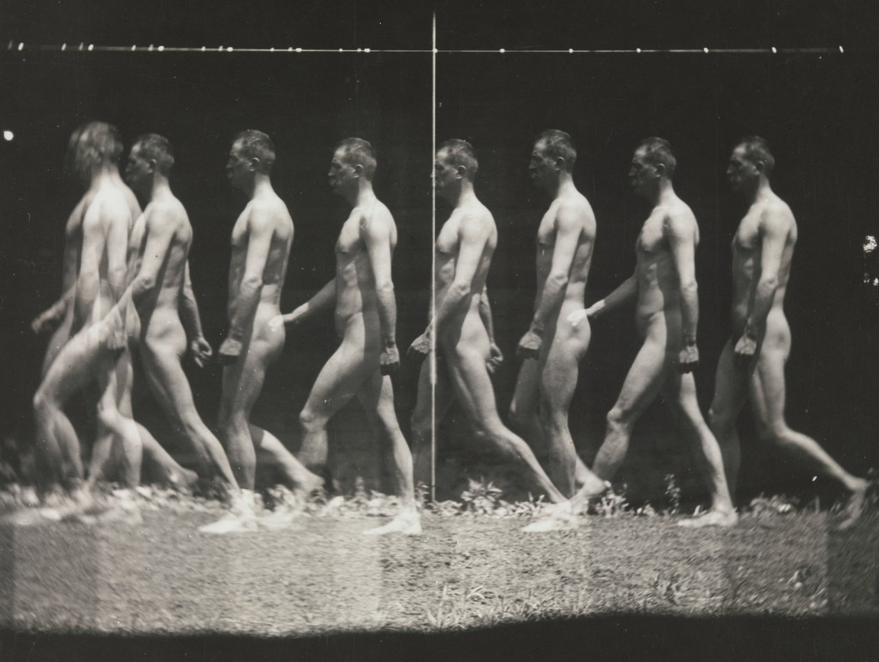 [Man Walking, Stroboscopic Photograph], 1880